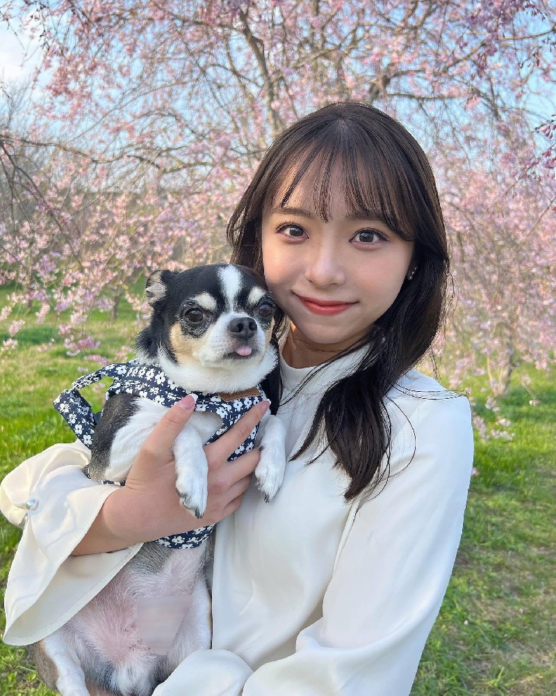 A352 照片707张 视频17个 日本 生活日常 旅游美食