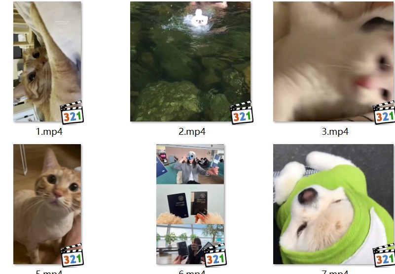 preview.jpg